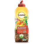 Algasan X 1 Lt