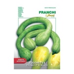 Zucchetta Tromba D’albenga