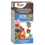 LECITINA BIO POLVERE BAGNABILE X 100 GR