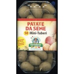 Mini Tuberi Monalisa X 50 Pz (Gialla)