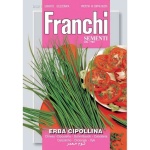 ERBA CIPOLLINA X 2 GR