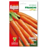 Magnum carota nantes
