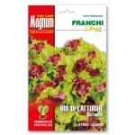 Magnum bis di lattughe da taglio