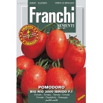 Pomodoro Big Rio 2000 Ibrido