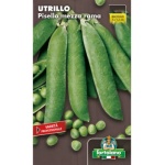 PISELLO MEZZA RAMA UTRILLO X 500 GR