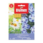 BLUMEN IPOMEA PURPUREA