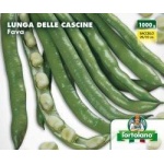 Fava Lunga Delle Cascine X 1 Kg