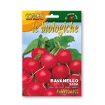 RAVANELLO SAXA 2 BIIO