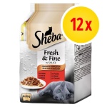 SHEBA DDJ 6X50GR POLLO TACCHINO