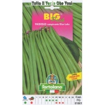 FAGIOLO RAMP BLUE LAKE BUSTA