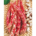 FAGIOLO RAMPICANTE ROSSANO X 250 GR
