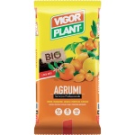 Vigor Plant Lt. 20 Agrumi