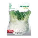 Finocchio montebianco