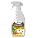 SAPONE MOLLE BIO PRONTO USO X 500 ML