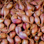 AGLIO SCALOGNO FRANCESE X 500 GR